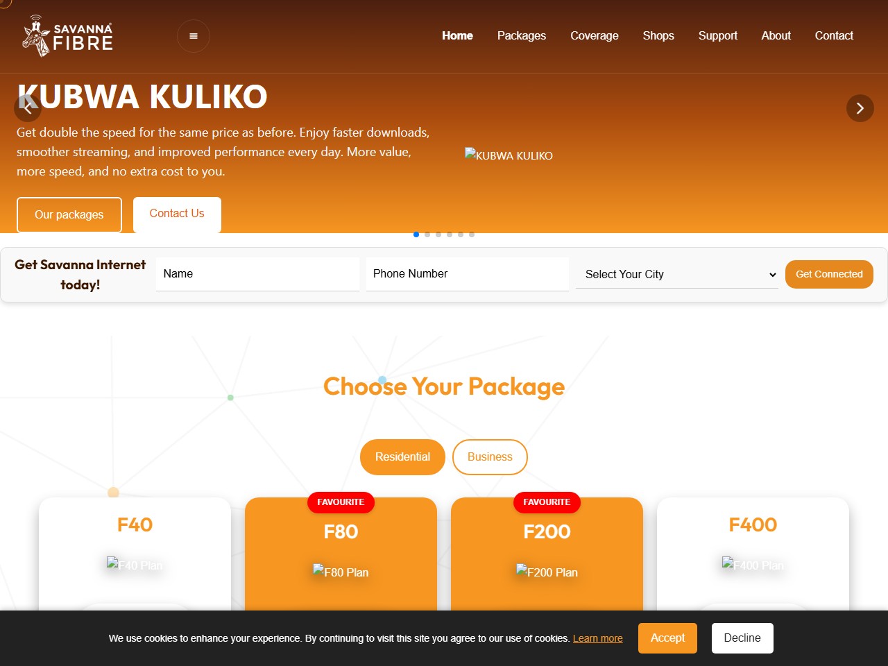 Savanna Fibre ISP website homepage with packages